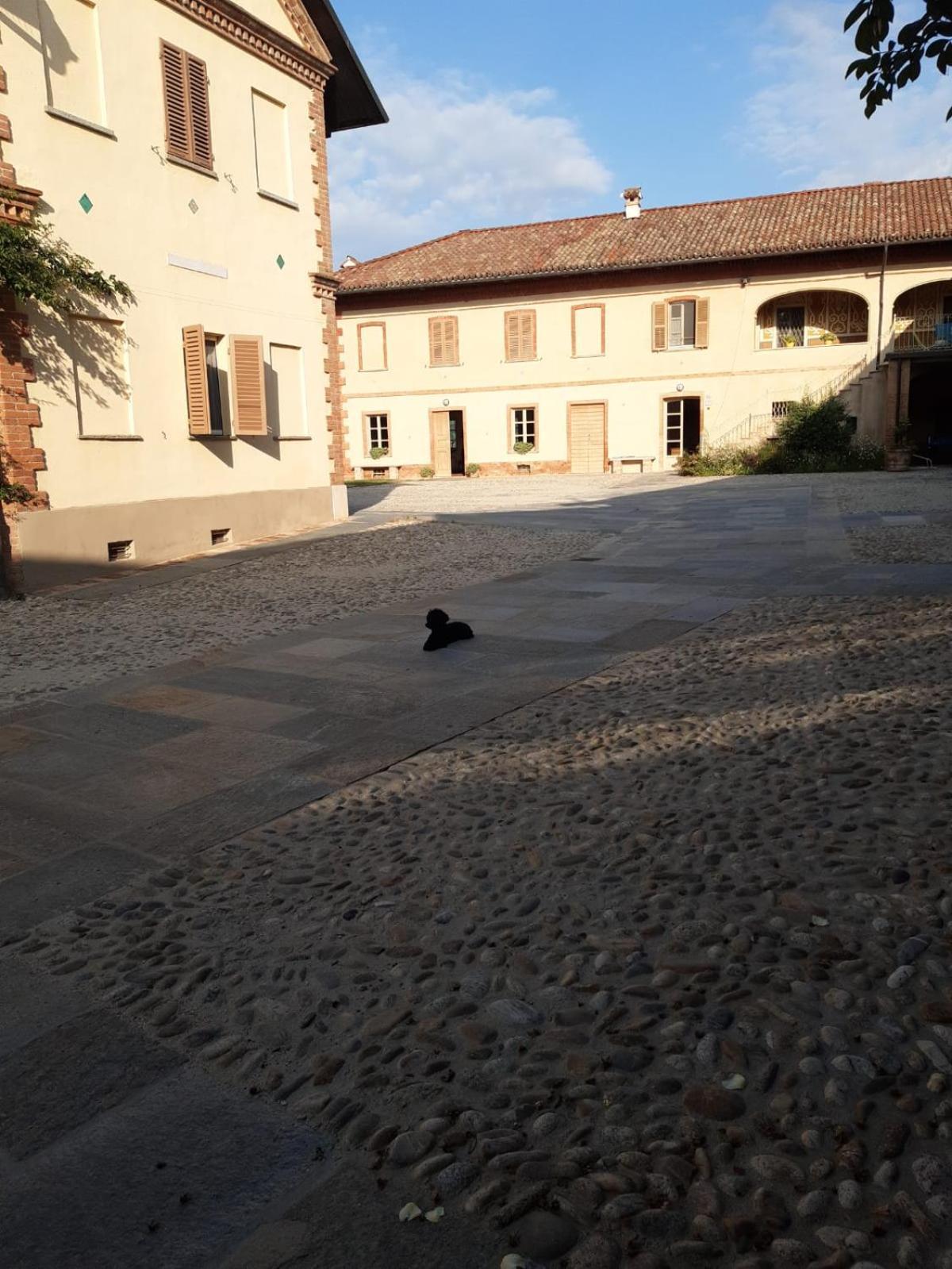 Tenuta Montanello B&B Castiglione Falletto Exterior foto