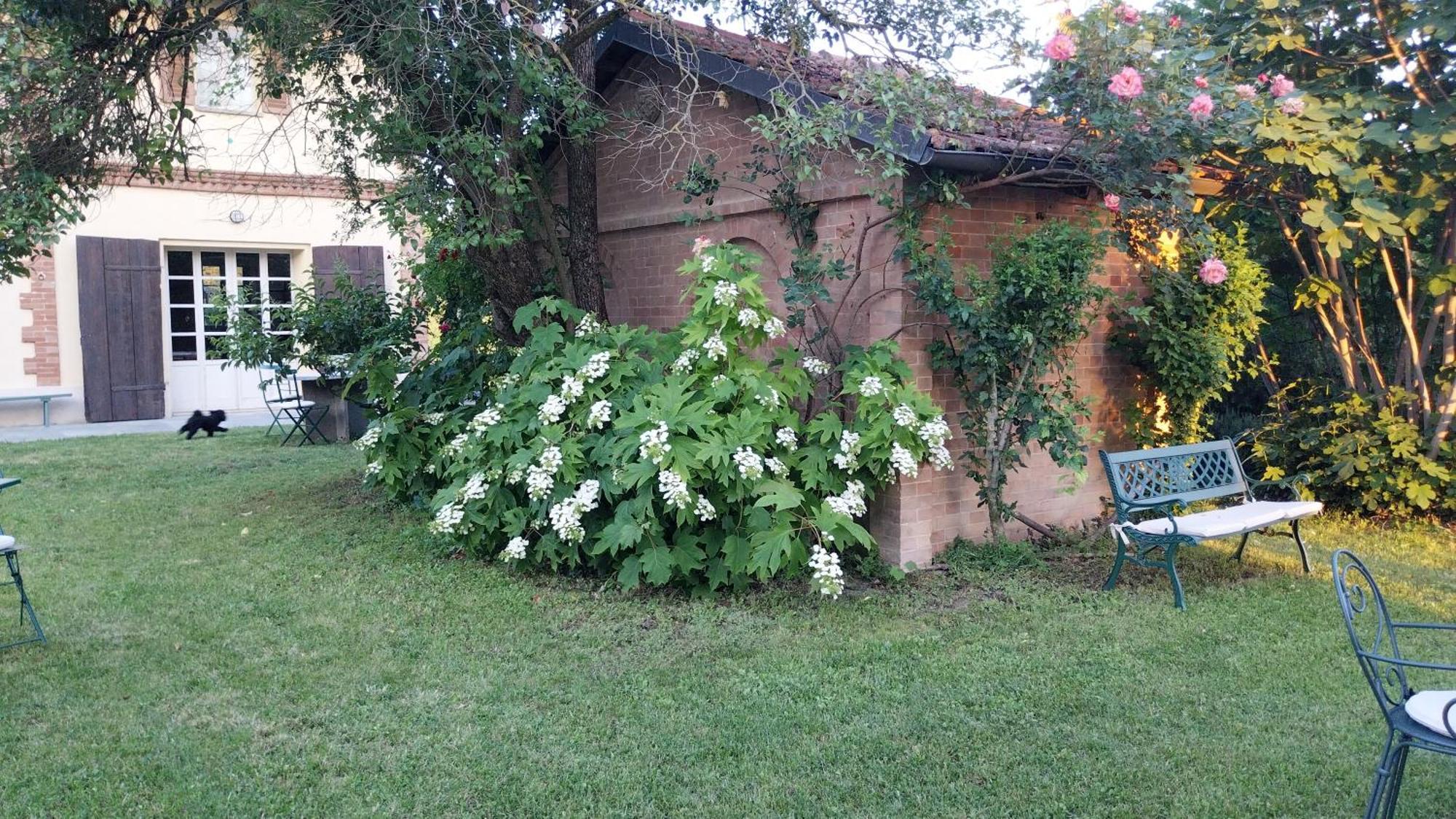 Tenuta Montanello B&B Castiglione Falletto Exterior foto