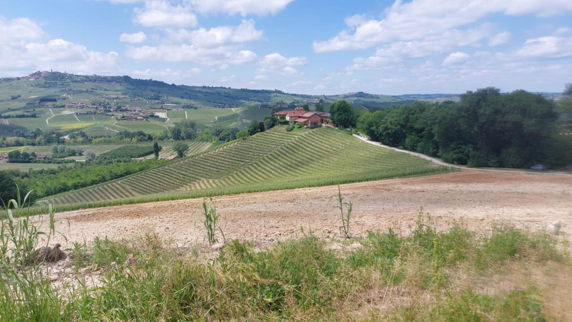 Tenuta Montanello B&B Castiglione Falletto Exterior foto